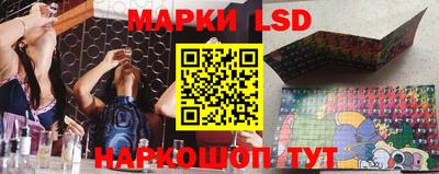 ПСИЛОЦИБИНОВЫЕ ГРИБЫ Кулебаки