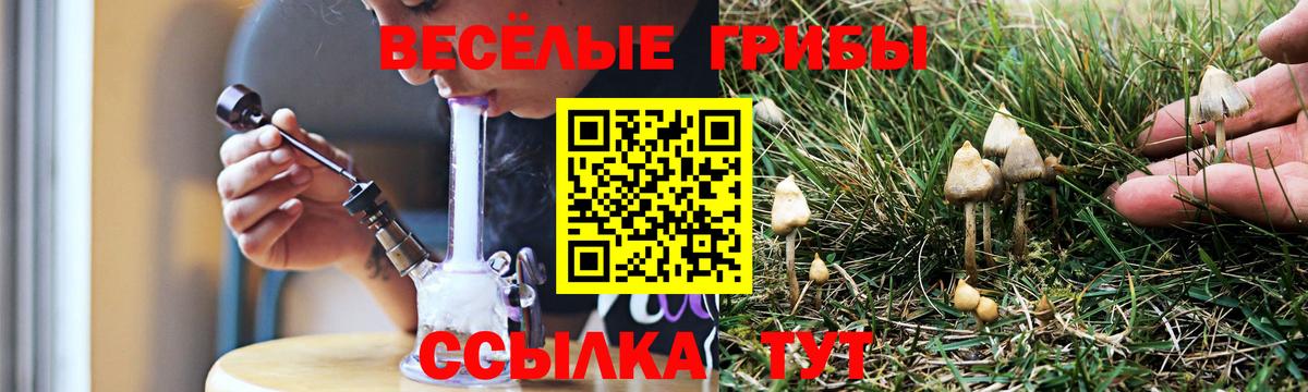 Псилоцибиновые грибы Psilocybine cubensis  Вход с VPN  Улан-Удэ 