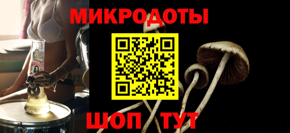 Галлюциногенные грибы мухоморы Улан-Удэ